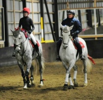 Minna & Wipsu ja Pertti & Indy