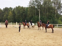 Kiitos Minna Leppälä ja Peuramaa Horse!