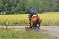 Auran ja Lotan ja kuivahautaan kurkistus