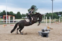 Ja sitten Kia ja Luna hienosti yli tukkien