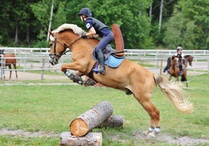 Näin hyppää suomenhevonen, Isabella ja Veikko