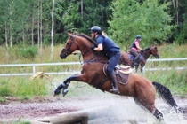 Auran ja Lotan ylöshyppy vedestä